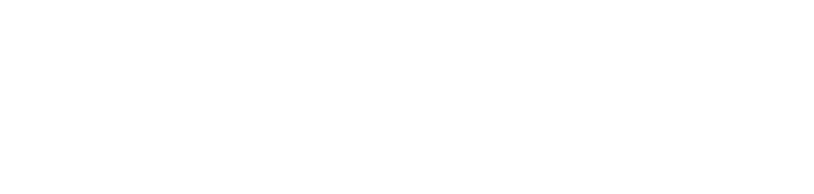 Çözen Customs Consultancy